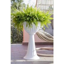 Ανθοστήλη Ø43x74.5cm Πλαστική 20lt Λευκή ALBA COLUMN BAMA Ιταλίας