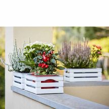 BAMA Ιταλίας Τελάρο Πολλαπλών Χρήσεων 25x31x11.5cm Πλαστικό με Όψη Ξύλου Κρεμ TINA 2