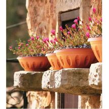 Γλάστρα Μπωλ Βαρέως Τύπου με Πιάτο Ø20x12x8cm 1.6lt Πλαστική Γκρι 0.09 Kg ALBA BAMA Ιταλίας