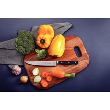 TRAMONTINA Μαχαίρι Γενικής Χρήσης με Λεία Λεπίδα 17.78cm (7") Century