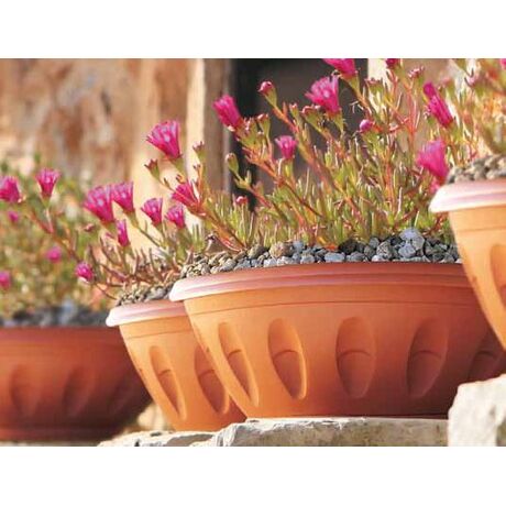 Γλάστρα Μπωλ Βαρέως Τύπου με Πιάτο Ø20x12x8cm 1.6lt Πλαστική Γκρι 0.09 Kg ALBA BAMA Ιταλίας